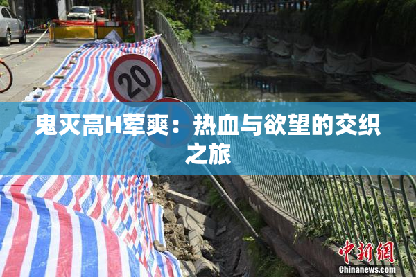 鬼灭高H荤爽：热血与欲望的交织之旅