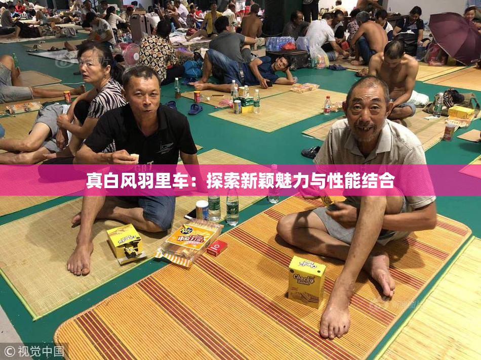 真白风羽里车：探索新颖魅力与性能结合