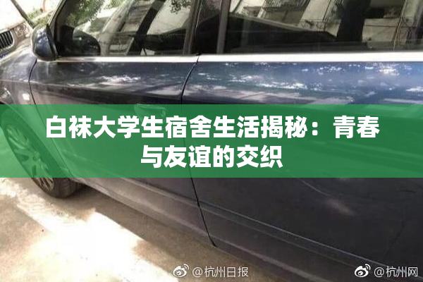 白袜大学生宿舍生活揭秘：青春与友谊的交织