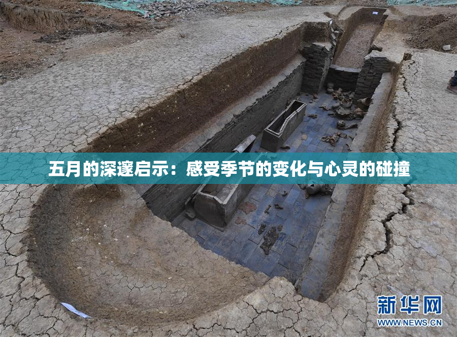 五月的深邃启示：感受季节的变化与心灵的碰撞