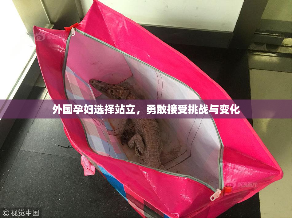 外国孕妇选择站立，勇敢接受挑战与变化
