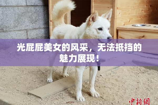 光屁屁美女的风采，无法抵挡的魅力展现！
