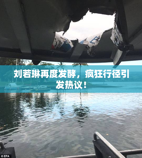 刘若琳再度发酵，疯狂行径引发热议！