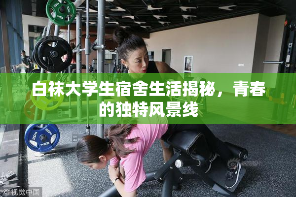 白袜大学生宿舍生活揭秘，青春的独特风景线