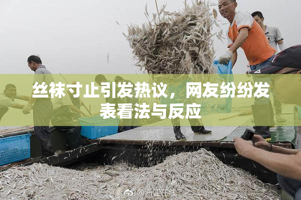 丝袜寸止引发热议，网友纷纷发表看法与反应