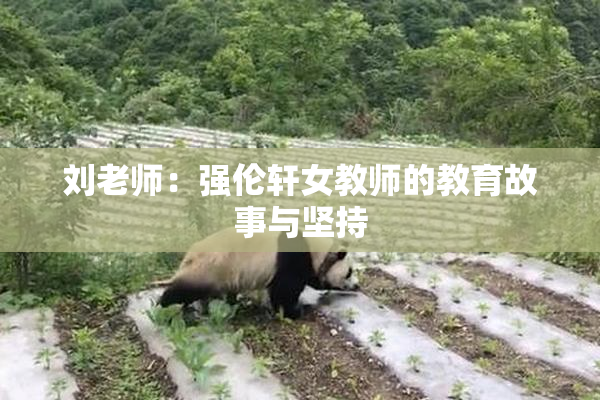 刘老师：强伦轩女教师的教育故事与坚持
