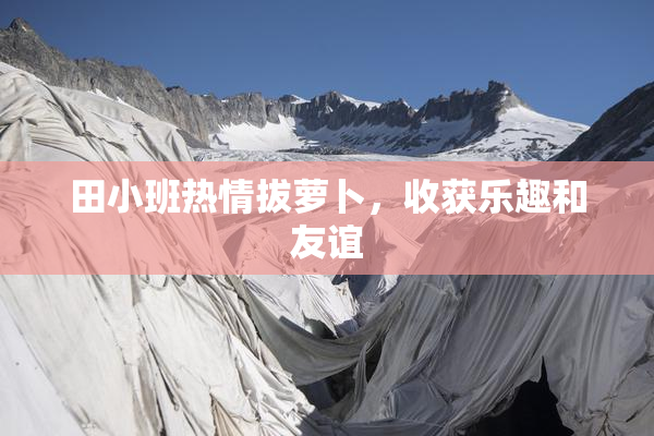 田小班热情拔萝卜，收获乐趣和友谊