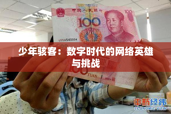 少年骇客：数字时代的网络英雄与挑战