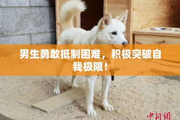 男生勇敢抵制困难，积极突破自我极限！