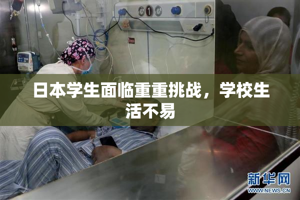 日本学生面临重重挑战，学校生活不易