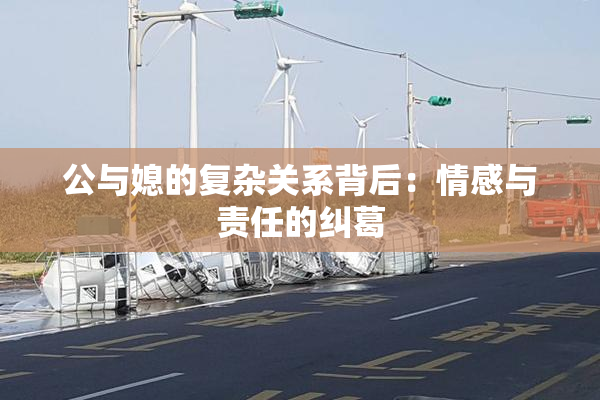 公与媳的复杂关系背后：情感与责任的纠葛