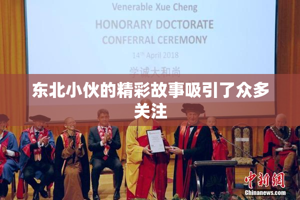 东北小伙的精彩故事吸引了众多关注