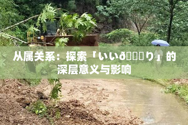 从属关系：探索「いい🍑り」的深层意义与影响