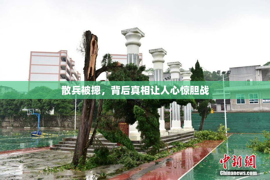 散兵被摁，背后真相让人心惊胆战