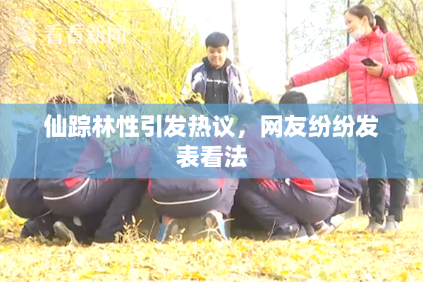仙踪林性引发热议，网友纷纷发表看法