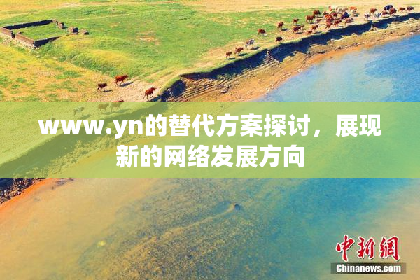 www.yn的替代方案探讨，展现新的网络发展方向