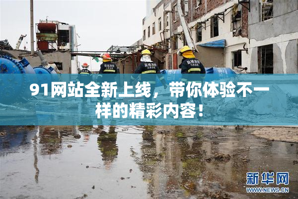 91网站全新上线，带你体验不一样的精彩内容！