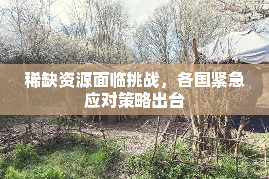 稀缺资源面临挑战，各国紧急应对策略出台