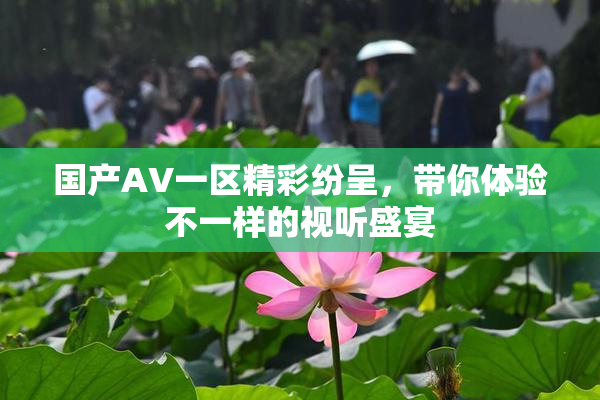 国产AV一区精彩纷呈，带你体验不一样的视听盛宴