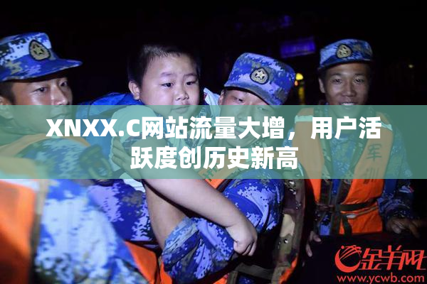 XNXX.C网站流量大增，用户活跃度创历史新高
