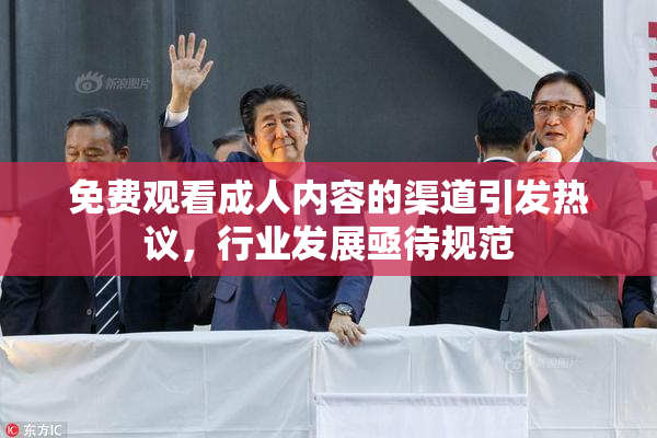 免费观看成人内容的渠道引发热议，行业发展亟待规范