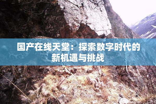 国产在线天堂：探索数字时代的新机遇与挑战