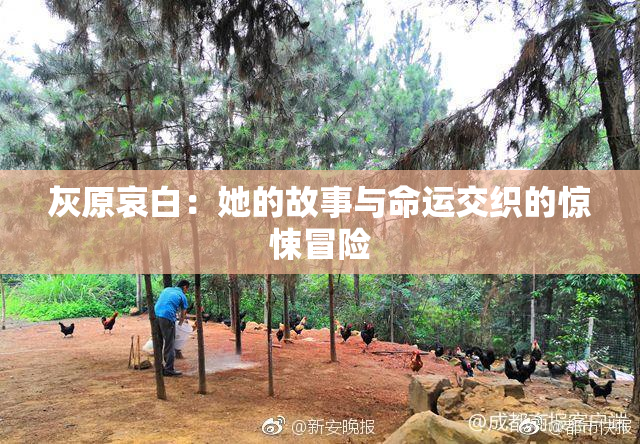 灰原哀白：她的故事与命运交织的惊悚冒险
