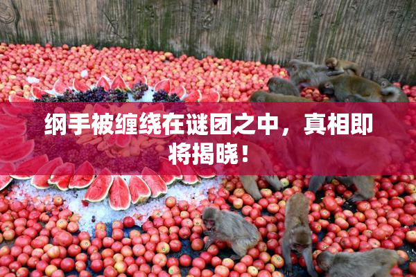 纲手被缠绕在谜团之中，真相即将揭晓！