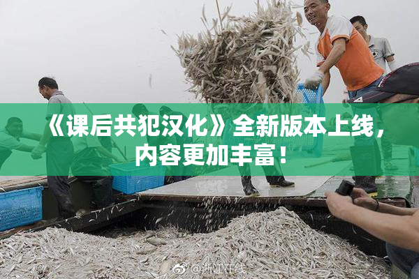 《课后共犯汉化》全新版本上线，内容更加丰富！