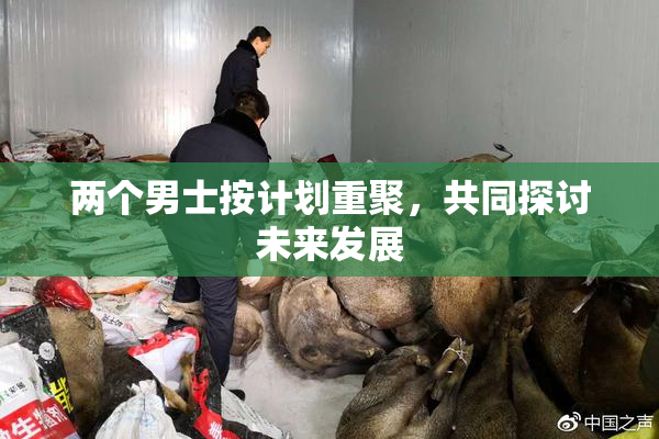 两个男士按计划重聚，共同探讨未来发展