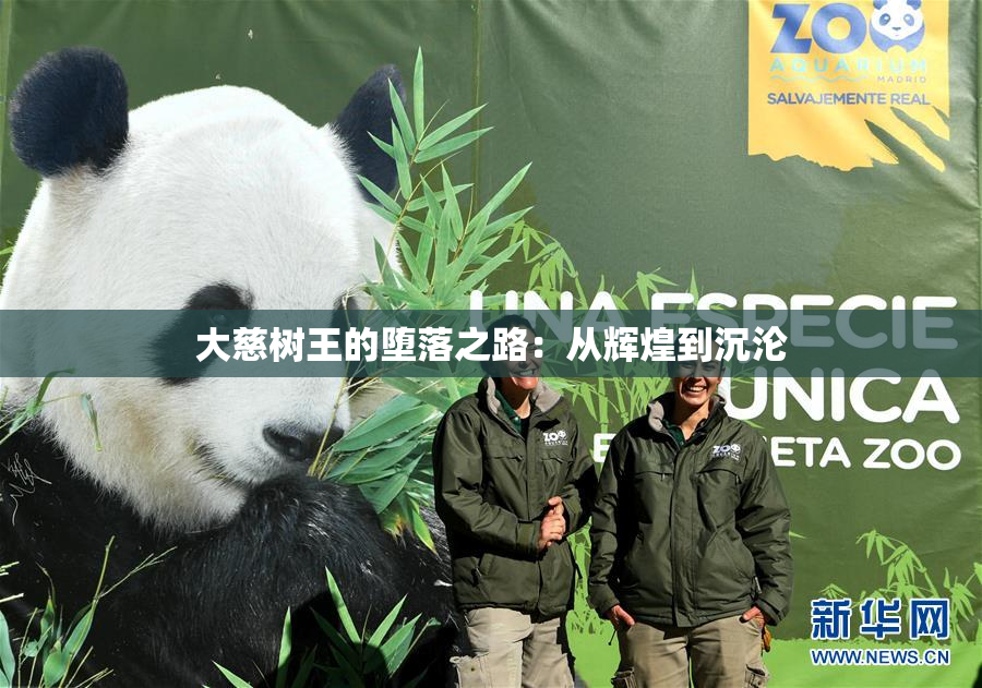 大慈树王的堕落之路：从辉煌到沉沦