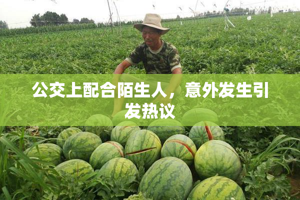 公交上配合陌生人，意外发生引发热议
