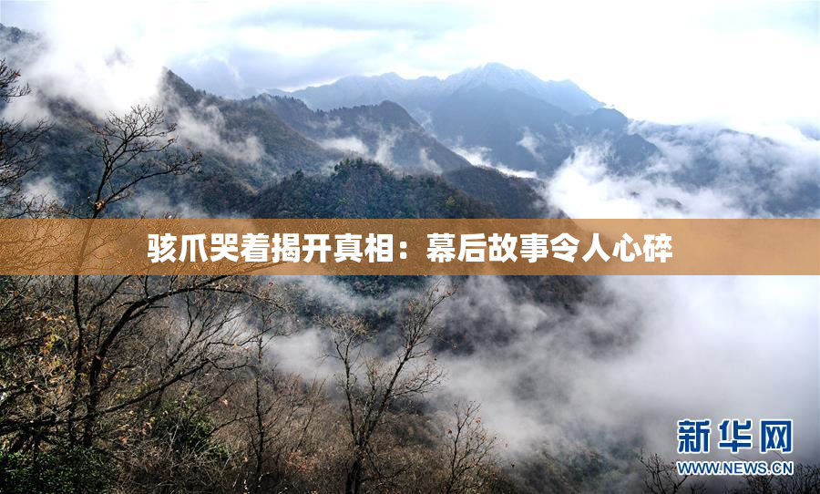 骇爪哭着揭开真相：幕后故事令人心碎