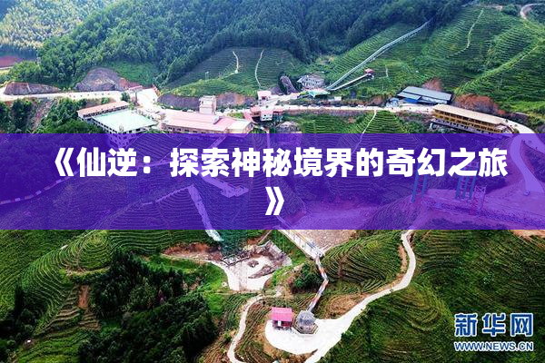 《仙逆：探索神秘境界的奇幻之旅》