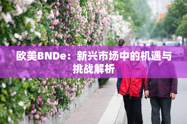 欧美BNDe：新兴市场中的机遇与挑战解析