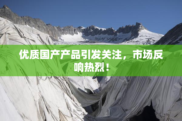 优质国产产品引发关注，市场反响热烈！