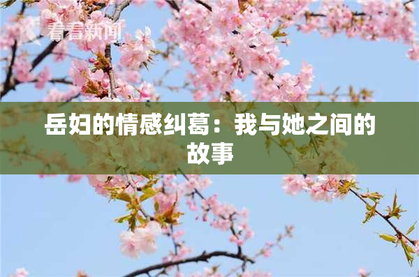 岳妇的情感纠葛：我与她之间的故事