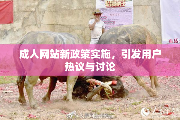 成人网站新政策实施，引发用户热议与讨论