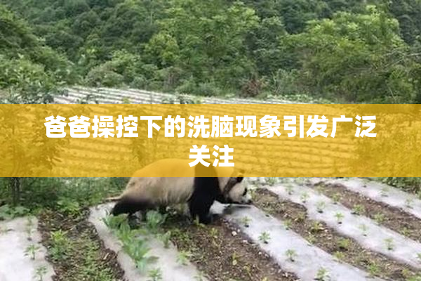 爸爸操控下的洗脑现象引发广泛关注