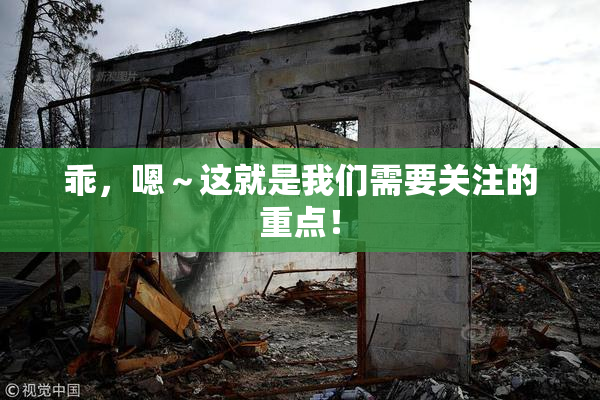 乖，嗯～这就是我们需要关注的重点！