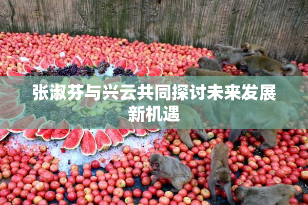 张淑芬与兴云共同探讨未来发展新机遇