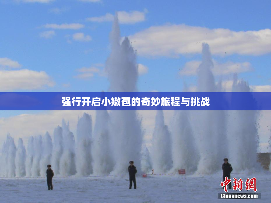 强行开启小嫩苞的奇妙旅程与挑战