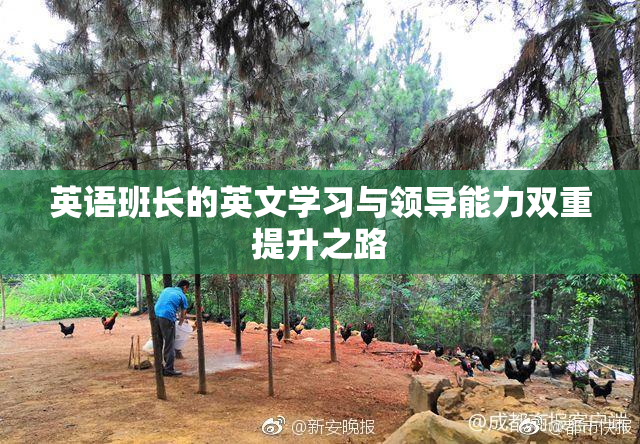 英语班长的英文学习与领导能力双重提升之路