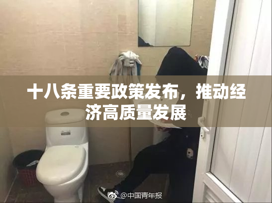 十八条重要政策发布，推动经济高质量发展