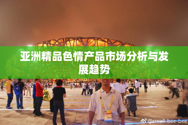 亚洲精品色情产品市场分析与发展趋势