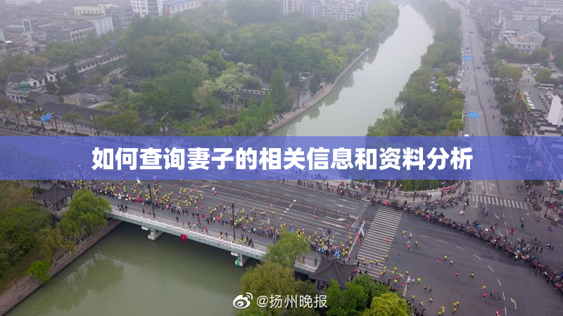 如何查询妻子的相关信息和资料分析