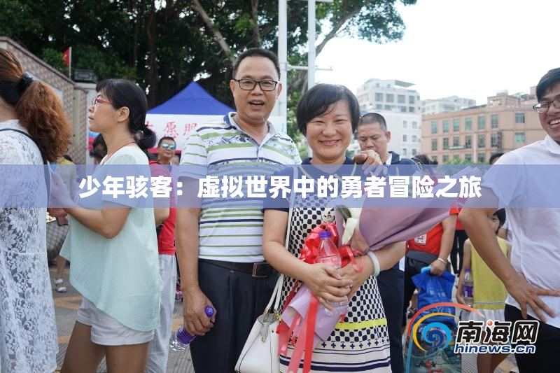 少年骇客：虚拟世界中的勇者冒险之旅