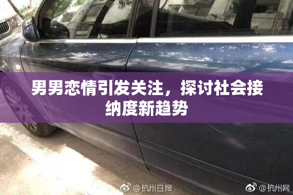 男男恋情引发关注，探讨社会接纳度新趋势