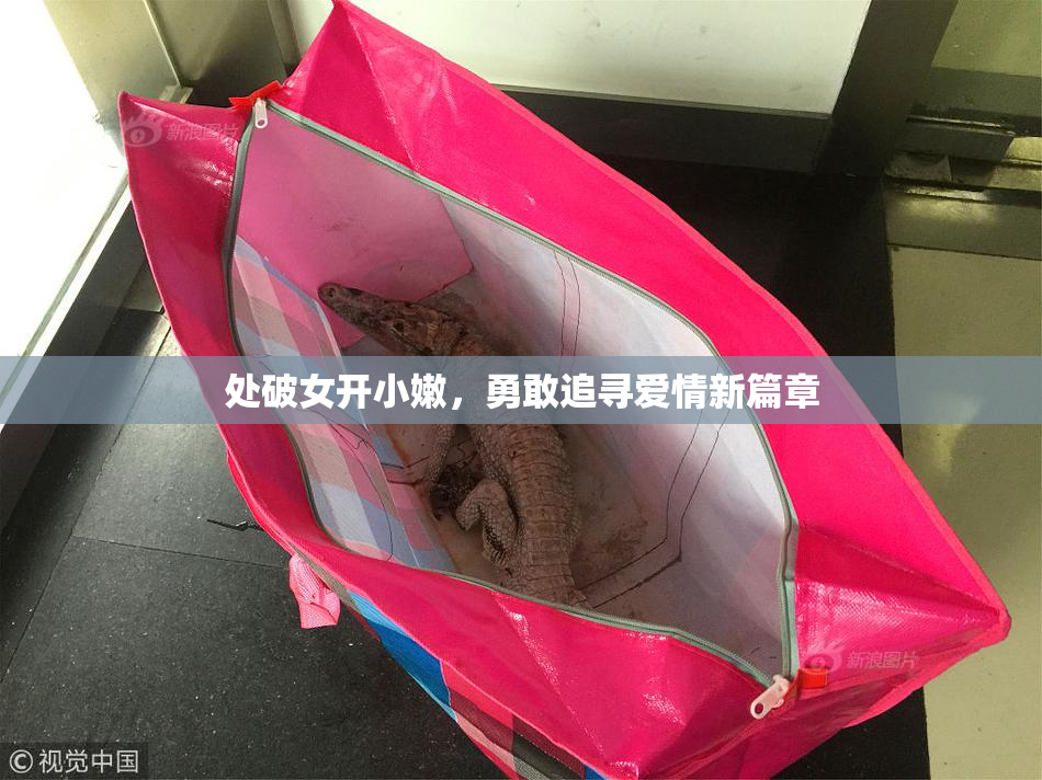 处破女开小嫩，勇敢追寻爱情新篇章