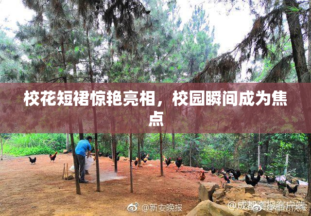 校花短裙惊艳亮相，校园瞬间成为焦点